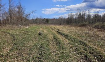 295 Shellstone Rd, Amsterdam, NY 12010