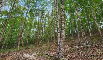 4622 Parker Loop Rd, Birchwood, TN 37308