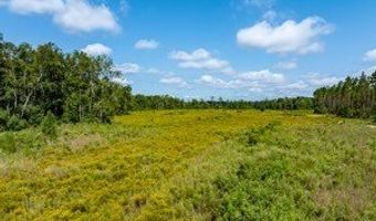 542 Lilla B Gaskins Rd, Alapaha, GA 31622