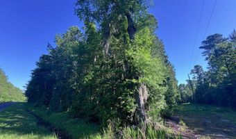 Jarvis Landing Road, Aurora, NC 27806
