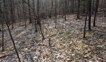 Upper Meehan Road, Bristol, VT 05443