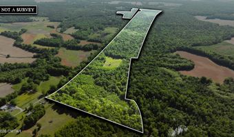 Beech Bluff Road, Beech Bluff, TN 38313