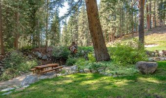 951 Divot Ct, Incline Village, NV 89451