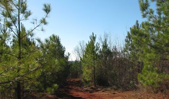 Buckhead Rd, Blair, SC 29015