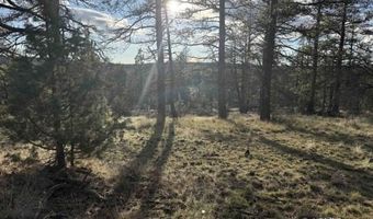 Canvasback, Bonanza, OR 97623
