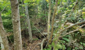 B-2BackLot Pioneer Path, Aurora, ME 04605