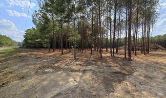 5 88 Acres COVINGTON AVENUE Lot 16 Trac1 And Trac2, Attalla, AL 35954