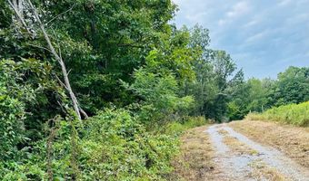 Tract 2 Brown Sisters Rd, Bradfordsville, KY 40009