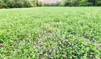 6946 80th Ave, Agency, IA 52530