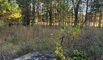 421041 E 1945 Ln, Antlers, OK 74523