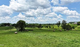 Chuckey Doak Road, Afton, TN 37616