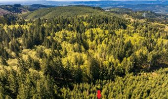NW Hidden Mountain Dr, Banks, OR 97106
