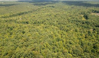 Hwy 9, Bruce, MS 38915