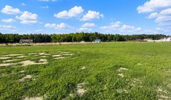 21963 HARDSCRABBLE Rd, Georgetown, DE 19947