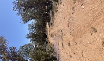 00 Off Of Rainy Rd, Ash Fork, AZ 86320