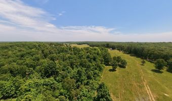 County Road 113, Alton, MO 65606