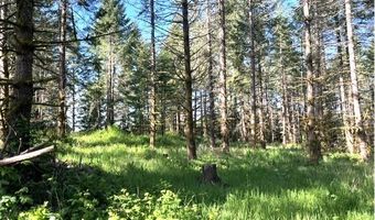 NW Lodge Rd, Banks, OR 97106