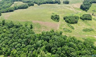 120 Carnes Chapel Rd, Attalla, AL 35954