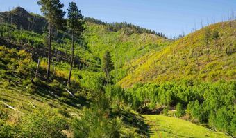 10643 CR 501, Bayfield, CO 81122