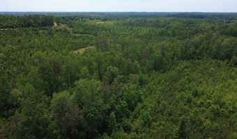 Tucker Road lot 8, Bath Springs, TN 38311