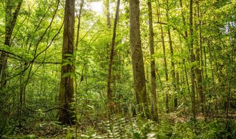 3024 Us-84, Brookhaven, MS 39601