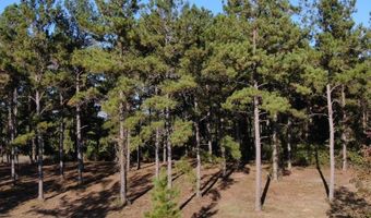Lot 8 Mountain View Way, Bainbridge, GA 39819