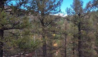 1077 Roland Dr Lot 3, Bailey, CO 80421