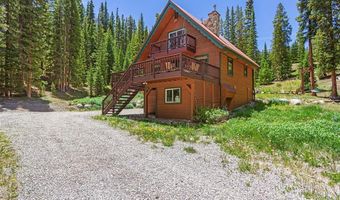 16 Bemrose Trl, Blue River, CO 80424