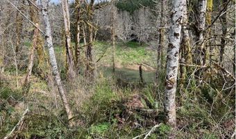 Northrup Creek Rd, Birkenfeld, OR 97016