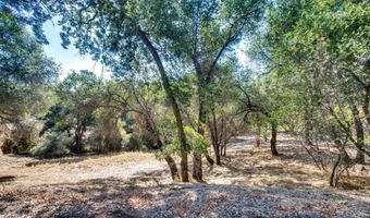 336 Catalpa Ln, Angels Camp, CA 95222