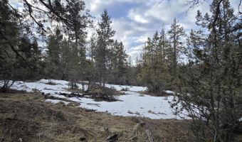 Jaguar Lane Lot 7 & 8, Bonanza, OR 97623