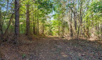 42 County Highway 79, Bear Creek, AL 35581