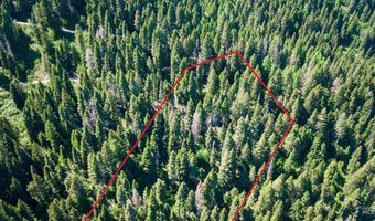 Burnt Wagon Trail, Cascade, ID 83611