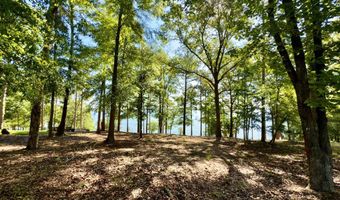 171 Lakeview Ter, Abbeville, AL 36310