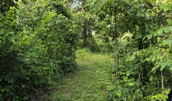 7011 County Road 429, Ava, MO 65608