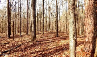 590 247 Country Rd, Bruce, MS 38915