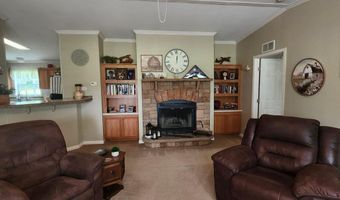 786 Blackberry Rd, Baconton, GA 31716
