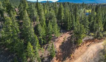 272 Wise Rd, Bailey, CO 80421