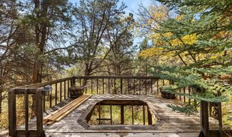 635 Cedar Dr, Basalt, CO 81621