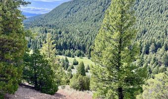 Nhn Lost Creek Rd, Anaconda, MT 59711