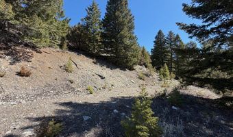 Tract J Shoot the Moon Lane, Anaconda, MT 59711