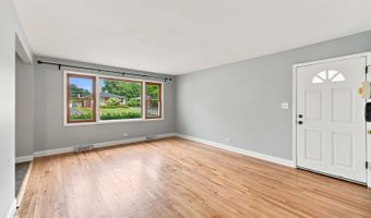 1113 S Haddow Ave, Arlington Heights, IL 60005