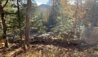 00 Dundee Rd 102, Bartlett, NH 03812