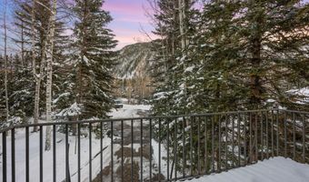 1345 Mayflower Ct, Aspen, CO 81611