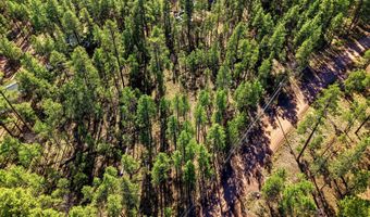 20 Co Rd 2067, Alpine, AZ 85920