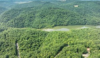 541 Cornerstone Pkwy, Allons, TN 38541