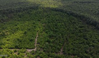 Broadview Avenue, Alford, FL 32420
