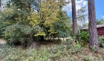 4850 NW 55th Ave, Bell, FL 32619