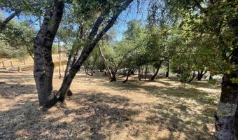 295 Mary Belle Way, Angels Camp, CA 95222