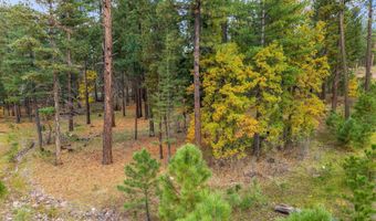 7 2190, Alpine, AZ 85920